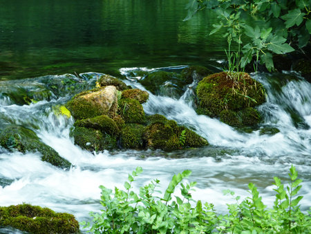small river in the woodsの写真素材