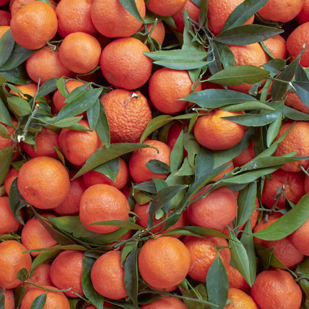 Earth treasures, tangerines