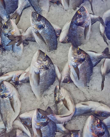 silver sea bream for sale at the central marketの写真素材