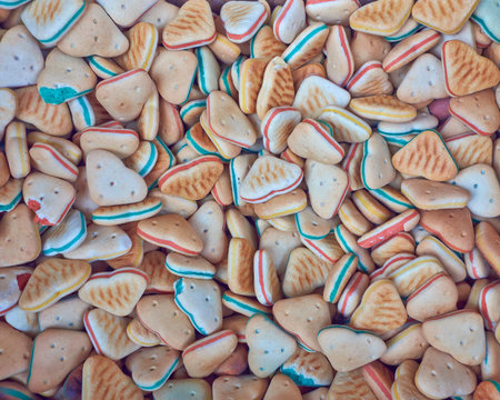 colorful pet food closeup, tasty backgroundの写真素材