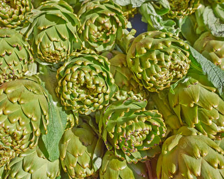 fresh artichokes for sale, natural backgroundの写真素材