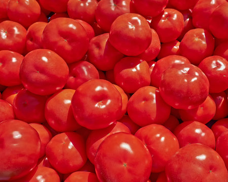 red fresh tomatoes for sale, natural background