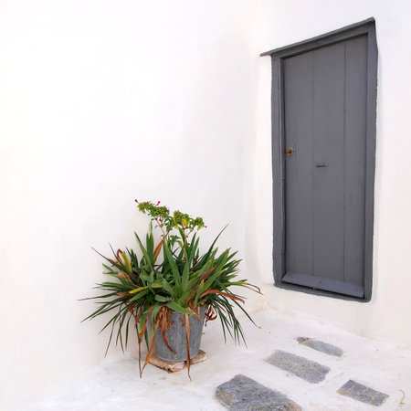 Door and flowerpot, Anafiotika, Athens Greeceのeditorial素材