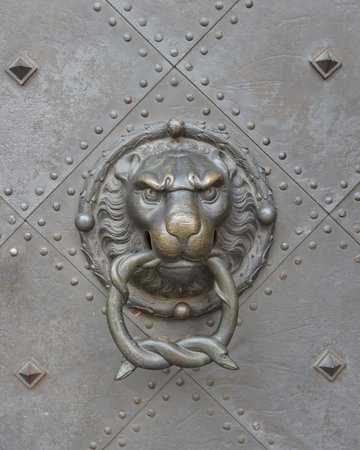 Lion head door knocker close-up