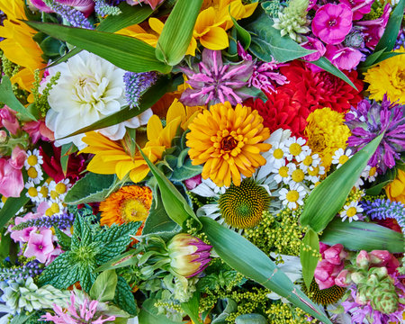 variety of colorful flowers closeupの写真素材