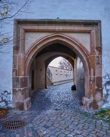 Altenburg castle palace gate, Thuringia, Germanyのeditorial素材