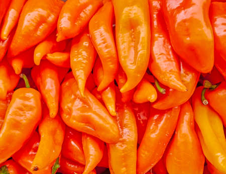 organic orange horn peppers close up, tasty backgroundの写真素材