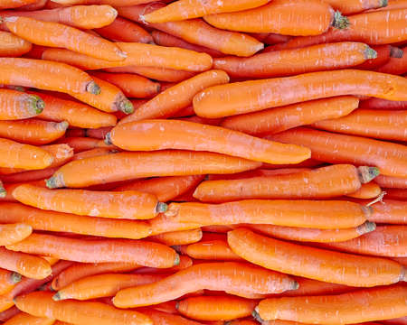 organic carrots closeup, natural orange backgroundの写真素材