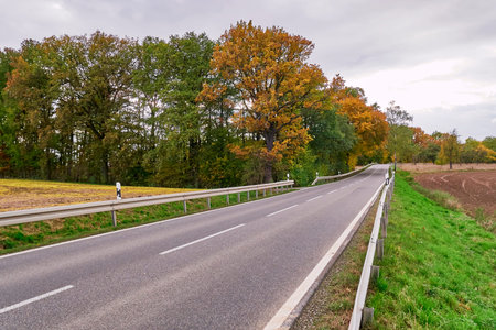 rural road under cloudy sky
