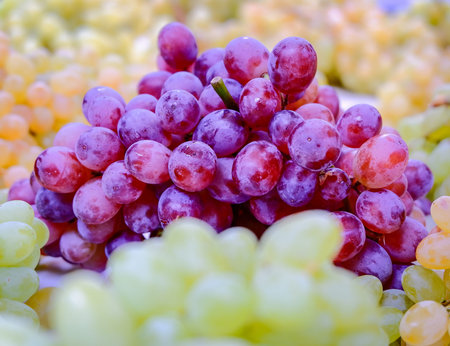 variety of purple and green grapes closeup, strong bokeh