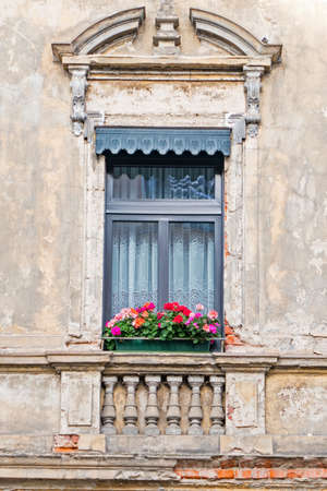 weathered but beautiful house window with geranium flowersの写真素材