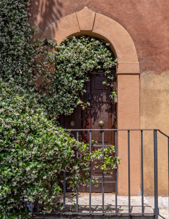 tree foliage in front of old arched natural wood door and "stucco" wall house, Rome Italyの写真素材