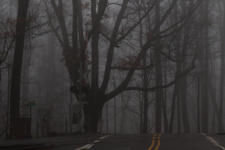 Railroad Crossing in the Mist, Balsam Mountain, Great Smoky Mountains, North Carolina
