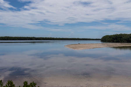 Landscape, J.N. ''Ding'' Darling National Wildlife Refuge, Sanibel Island, Florida, USAの写真素材