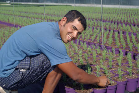 Farm worker preparing new plantsの写真素材