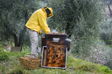 Beekeeper working