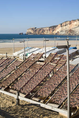 Drying fish on the beach in Nazare, Portugalの写真素材