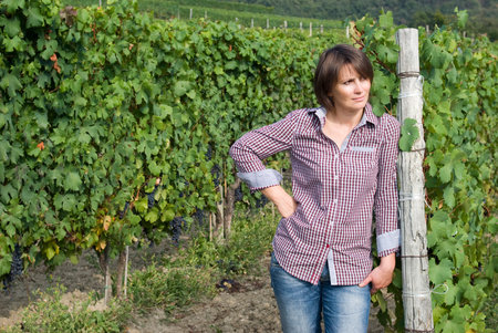 Woman standing in vine rowsの写真素材