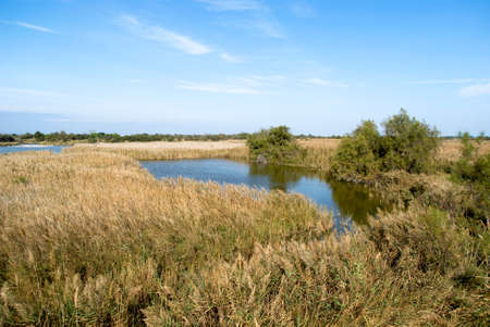 Regional Nature Park of the Camargue, Franceの写真素材