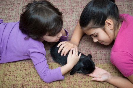 Two girls playing with rabbit at home