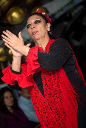 Granada, Espana - November 8, 2012: The flamenco dancer at âLa RocÃ­oâ offers a form of flamenco show which is danced in caves of the Sacromonte, the gypsy district. Gipsies of the same family dance, sing and play a visceral flamenco which roots date のeditorial素材