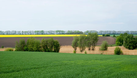 Agricultural landscape in Podolia region of Ukraine