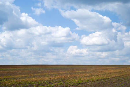 Agricultural landscape in Ukraineの写真素材