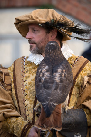 Taggia, Italy - February 26, 2017: Falconry display at the medieval festival with various birds of prey in the historic city of Taggia in the Liguria region of Italyのeditorial素材
