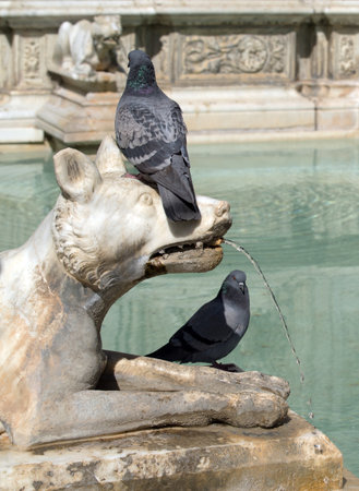Detail of the Fonte Gaia with the she-wolf, Piazza del Campo. Siena, Italyのeditorial素材