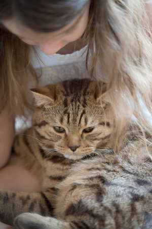 Little girl holding her catの写真素材