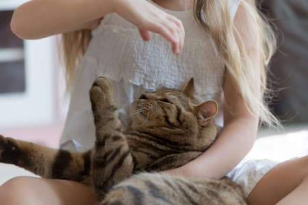 Little girl holding her catの写真素材