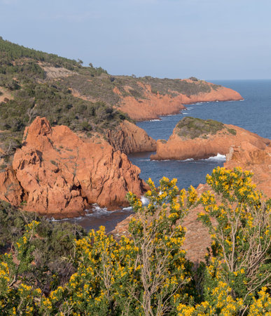 The Esterel Massif, Mediterranean coastal mountain range of volcanic origin, South-east Franceの写真素材