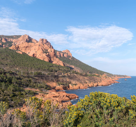 The Esterel Massif, Mediterranean coastal mountain range of volcanic origin, South-east Franceの写真素材