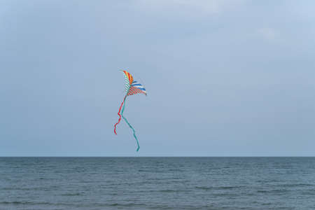 Kite flying in the sky on the background of seaの写真素材
