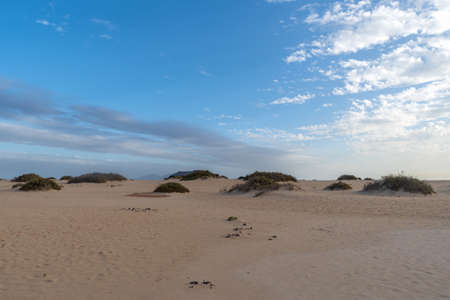 Corralejo Natural Park, Fuerteventura, Canary Islands, Spainの写真素材
