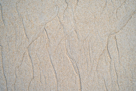 Beautiful natural texture design left by the tide on the beach