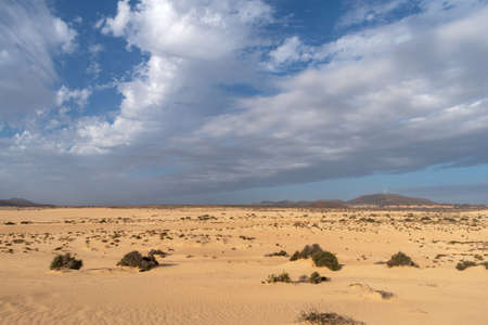Sand dunes, Corralejo Natural Park, Fuerteventura, Canary Islands, Spainの写真素材