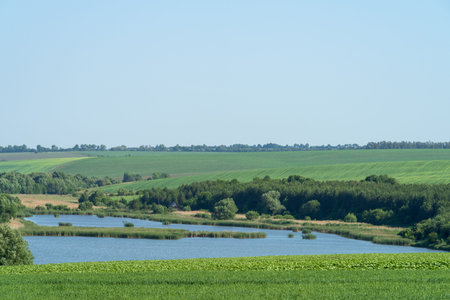 Pond in summertime, Podilski Tovtry National nature park, Ukraineの写真素材