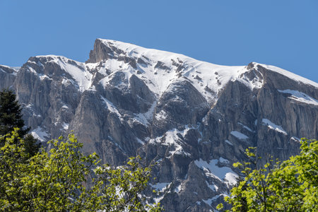 Marguareis Group, Pesio valley, Natural park of the Marguareis massif, boundary between Italy and...