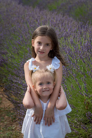 Valensole, France. Little girls in lavender fieldの写真素材
