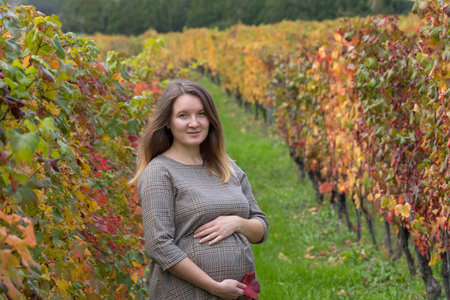 Pregnant woman between a row of grape vines in autumnの写真素材