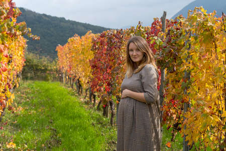 Pregnant woman between a row of grape vines in autumnの写真素材