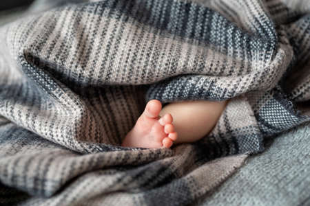 Foot of newborn baby girl, close-upの写真素材