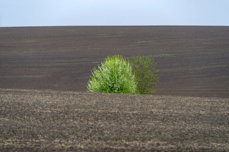Field plowed in spring. Podilski Tovtry nature reserve in Podolia region, South-Western Ukraine