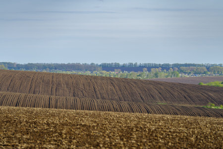 Field plowed in spring. Podilski Tovtry nature reserve in Podolia region, South-Western Ukraineの写真素材