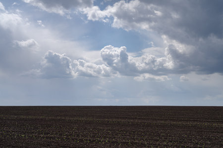 Field plowed in spring. Podilski Tovtry nature reserve in Podolia region, South-Western Ukraineの写真素材