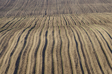 Field plowed in spring. Podilski Tovtry nature reserve in Podolia region, South-Western Ukraineの写真素材