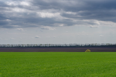 Spring agricultural landscape, Podilski Tovtry nature reserve, Podilia region, South-Western Ukraineの写真素材