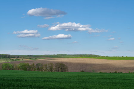 Spring agricultural landscape, Podilski Tovtry nature reserve, Podilia region, South-Western Ukraine