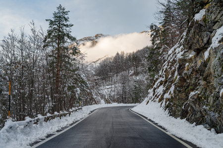 Mountain road and snow-covered forest in winter, Ligurian Alps, Italy